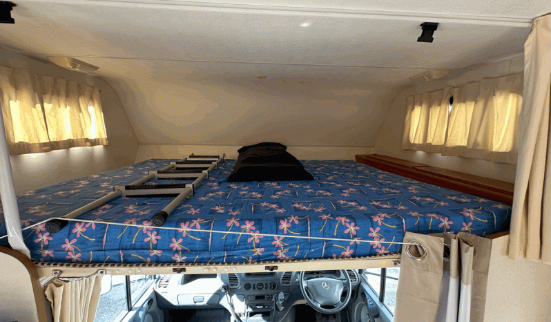 2006 WINNEBAGO Leisure Seeker full