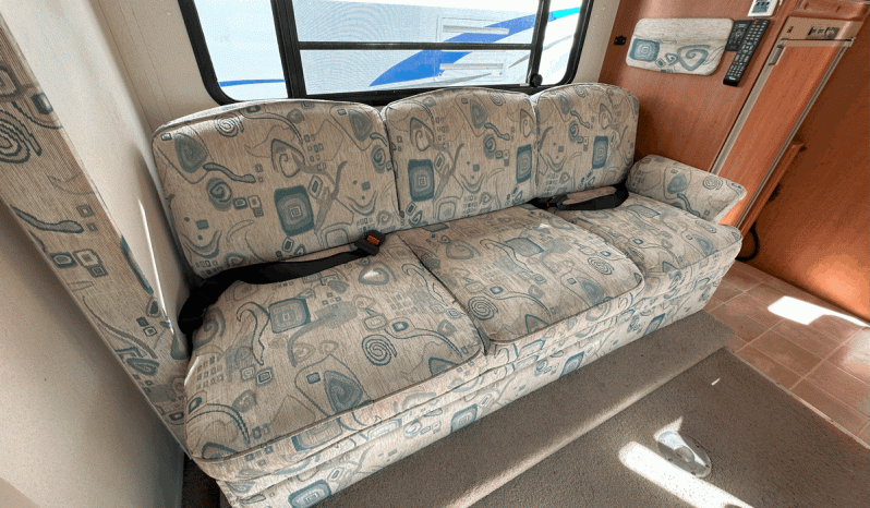 2006 WINNEBAGO Leisure Seeker full