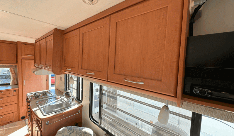 2006 WINNEBAGO Leisure Seeker full