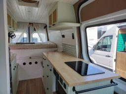 2015 Mercedes Benz Campervan full